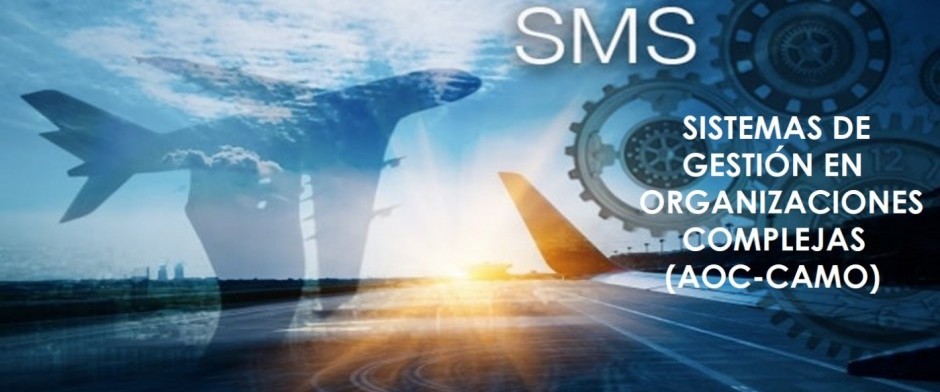 Sistemas de Gesti&oacute;n en Organizaciones Complejas (AOC-COE-CAMO)