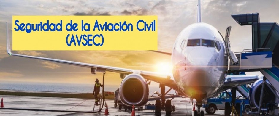 CURSO DE SEGURIDAD DE LA AVIACI&Oacute;N CIVIL (AVSEC)