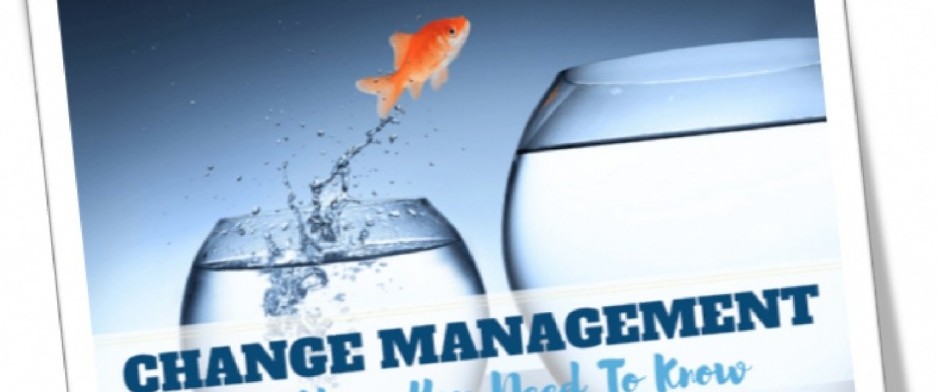 Gesti&oacute;n del Cambio (Fundamentos y Aplicaciones)