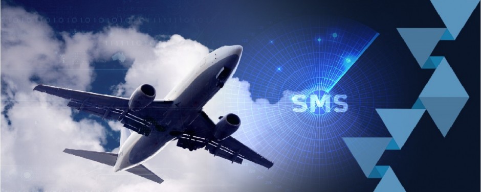 Programa Safety and Compliance Professional